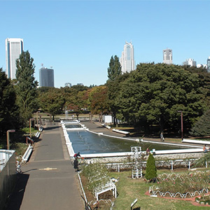 代々木公園