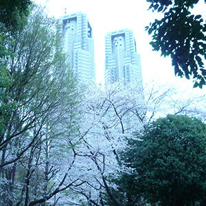 新宿中央公園